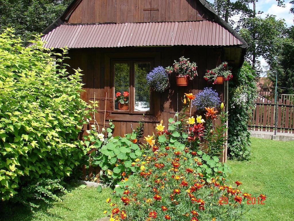 Modrzew Apartment Zakopane Luaran gambar